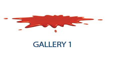 gallery1